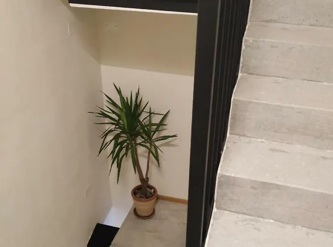 Couette-café B & W Kriz